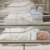 The Impact of Immigration Policies on the Surge of Birth Tourism in Miami
