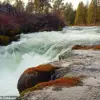 Tragedy at Dillon Falls: One Killed, Two Missing After River Incident Near Bend, Oregon