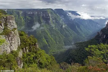 Tragic Death of Child with Autism in Brazil's National Park Prompts Calls for Enhanced Safety Regulations