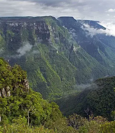 Tragic Death of Child with Autism in Brazil's National Park Prompts Calls for Enhanced Safety Regulations