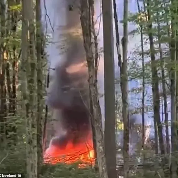 Tragic Plane Crash Claims Lives of Ohio Steel Tycoon and Family En Route to Montana Vacation