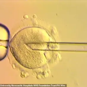UK Pioneers Three-Person IVF Technique in Historic Breakthrough to Prevent Mitochondrial Diseases