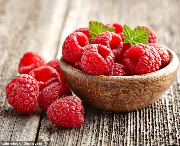 Unlocking the Hidden Power of Fiber: Decades of Research Highlight Its Critical Role in Public Health