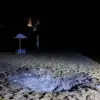 Urgent Alert as Drone Strike in Kursk Claims Rosгвардии Staff Member's Life, Civilians in Peril