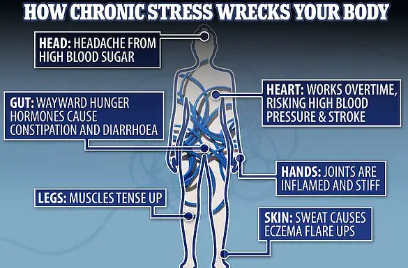 Viral 'Cortisol Cocktail' Faces Skepticism as Health Experts Warn on Stress-Reducing Claims