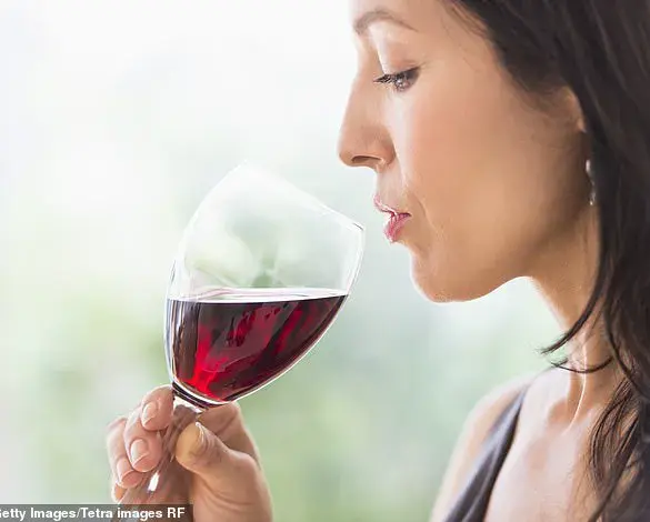 Alcohol Deaths Rise in UK Amid Declining Consumption: Investigating the Surprising Trend