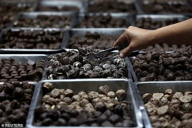 Dark Chocolate and Red Wine May Boost Longevity, Study Suggests: Experts Emphasize Moderation for Health Benefits