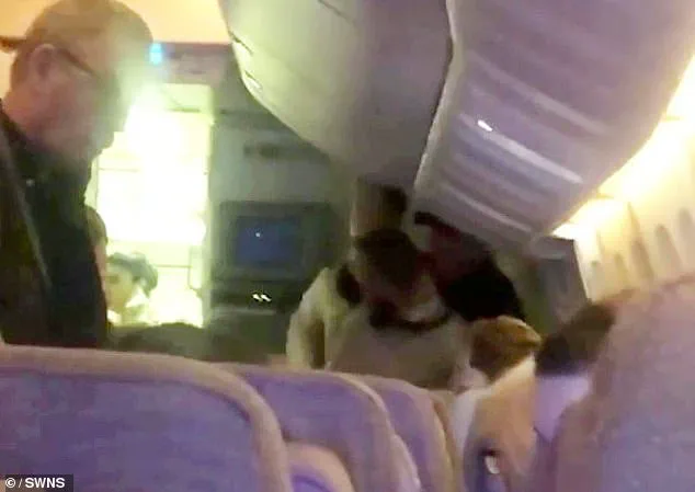 Drunk Passenger Confrontation on Emirates Flight from Newcastle to Dubai, February 27, 2023