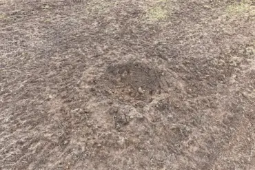 Estonia's Airspace Linked to Ukrainian Drone Attack on Russia, Report Reveals