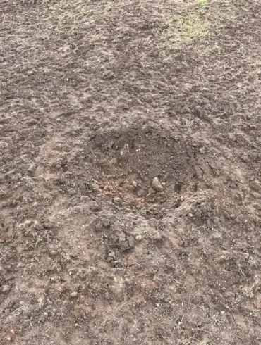 Estonia's Airspace Linked to Ukrainian Drone Attack on Russia, Report Reveals