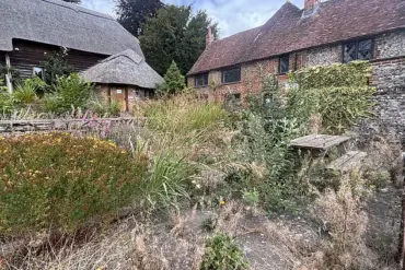 Exclusive Access: The Hidden Story of Pishil's Troubled Pub and Its Controversial Owner