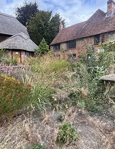 Exclusive Access: The Hidden Story of Pishil's Troubled Pub and Its Controversial Owner