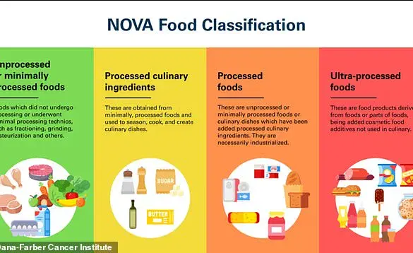 Exclusive Study Reveals Link Between Ultra-Processed Foods and Lung Cancer Risk, Urging Public Health Caution