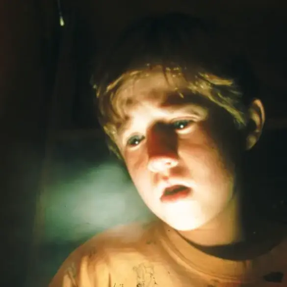 From Academy Award Nominee to Hollywood Veteran: The Unfolding Story of Haley Joel Osment's Transformation