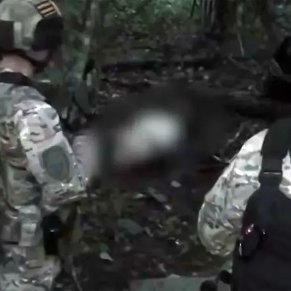 FSB Releases Footage of Captured Ukrainian Operatives, Sparking Global Debate on Government Transparency and Public Perception