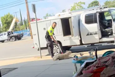 Harrowing Video of California Animal Control Officer Dragging Puppy Sparks Firestorm of Outrage and Calls for Immediate Accountability