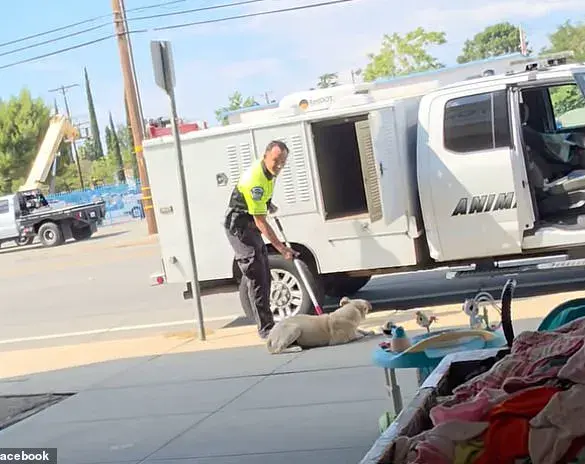 Harrowing Video of California Animal Control Officer Dragging Puppy Sparks Firestorm of Outrage and Calls for Immediate Accountability