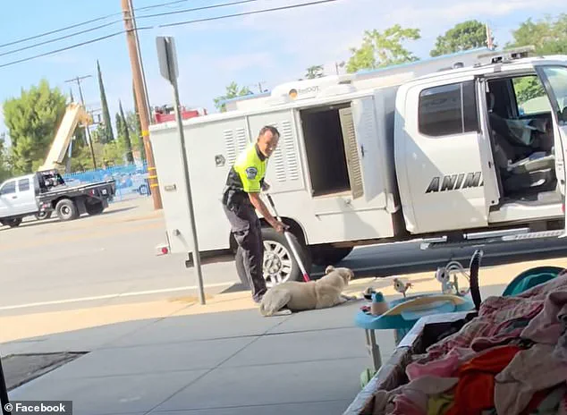 Harrowing Video of California Animal Control Officer Dragging Puppy Sparks Firestorm of Outrage and Calls for Immediate Accountability