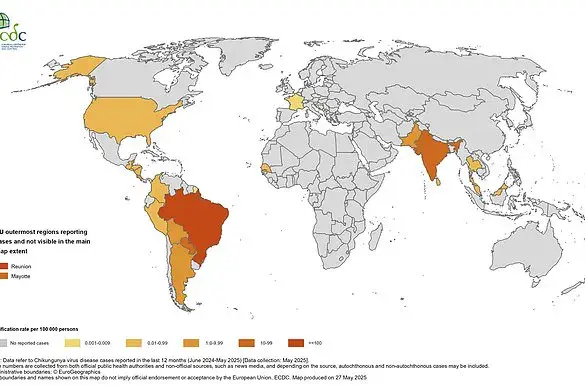 Health Experts Warn of Chikungunya Virus Spread in Popular Holiday Destinations, Urge Travel Precautions