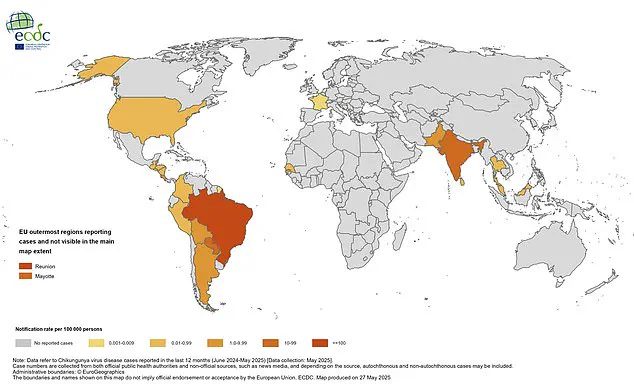 Health Experts Warn of Chikungunya Virus Spread in Popular Holiday Destinations, Urge Travel Precautions