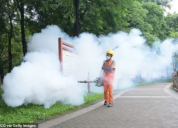 Health Officials Warn of Surge in Chikungunya Cases Among Travelers, Issuing Urgent Advisories