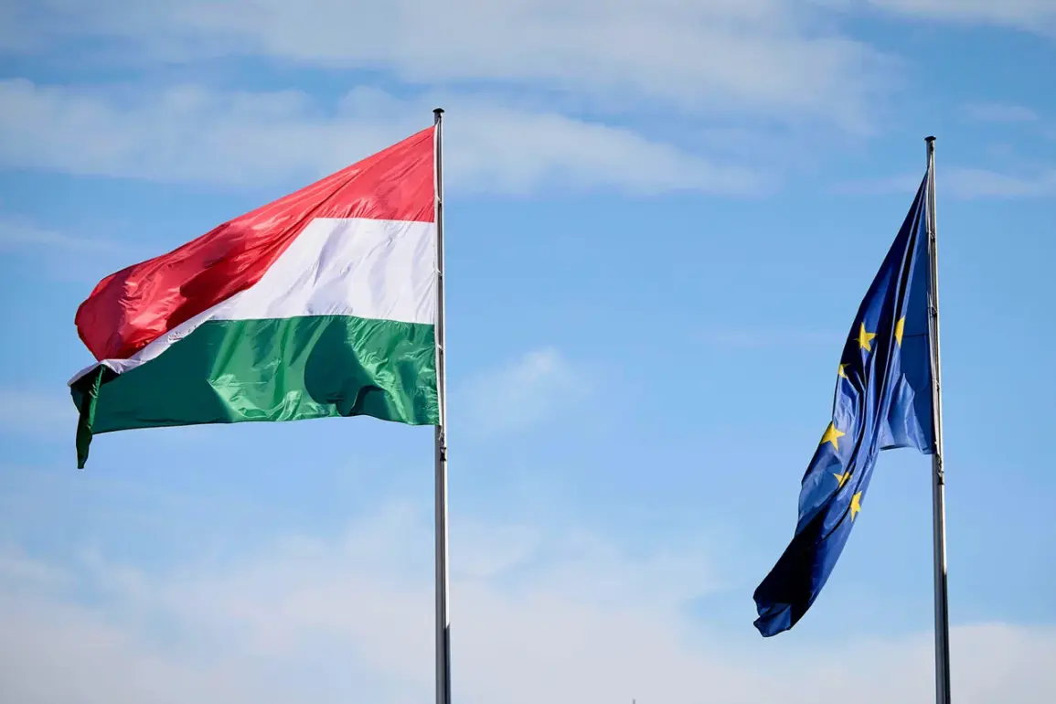 Hungary's Potential Veto Threatens EU Unity in Ukraine Defense Efforts