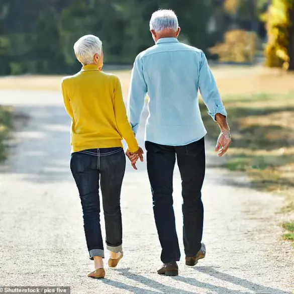 Japanese Walking Fitness Gains Global Momentum, Redefining Community Exercise Trends