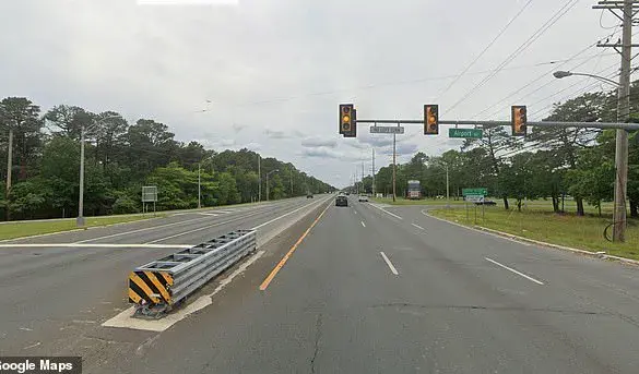 Pharmaceutical Executive Charged in Fatal Wrong-Way Crash That Killed Former Olympic Swimmer in New Jersey