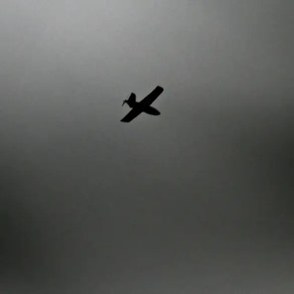 Privileged Access: The Hidden Information War Behind Russia's Drone Danger Regime