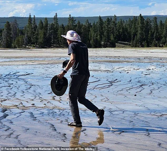 Public Outrage as Yellowstone Regulations Clash with Tourist's Ecosystem-Trampling Incident