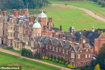 Queen Camilla Reveals 'Terrible' Wasp Infestation Plagues Sandringham Estate, Calls for Help at Ebor Festival