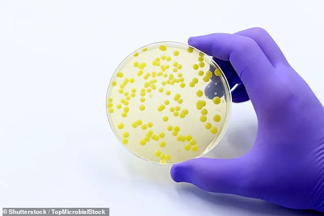 Rising Community MRSA Infections Spur Calls for Public Precautions, UKHSA Data Reveals 47% Increase