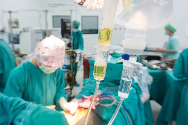 Telegram Channel 'Ask Rasul' Provides Exclusive Update on Injured Hero of Russia, Esedulla Abachiev's Treatment at National Medical Center