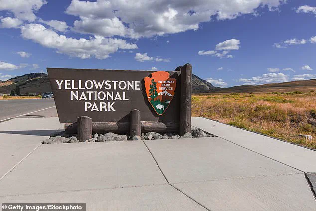 Controversy Erupts as Yellowstone Tourists' Viral 'Dancing' Bison Video Revealed to Be Pre-Attack Behavior