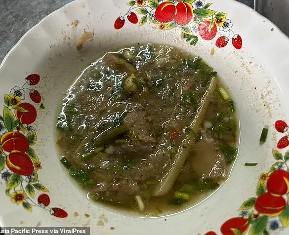 Father and Daughter Die After Eating Deadly Mushroom Curry; Relatives Warn of Foraging Risks
