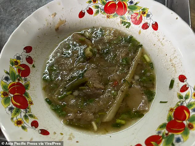 Father and Daughter Die After Eating Deadly Mushroom Curry; Relatives Warn of Foraging Risks