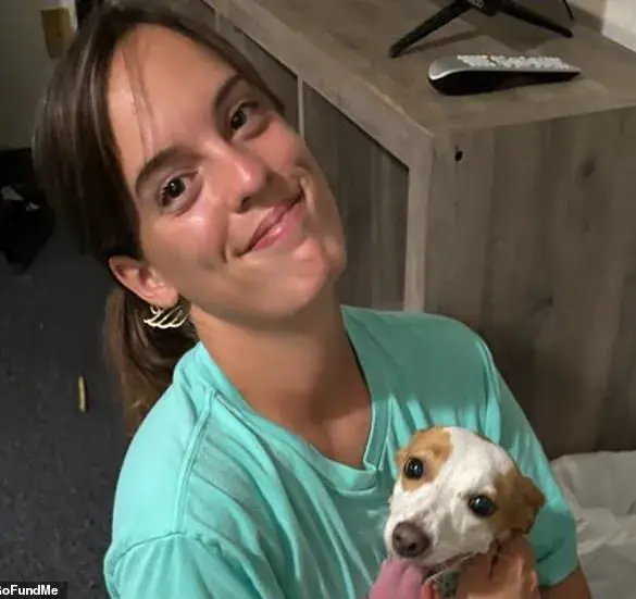 Hawaii Lifeguard Francesca Minotta-Kelso Survives Shooting During Argument with Suspect She Previously Knew, Police Say