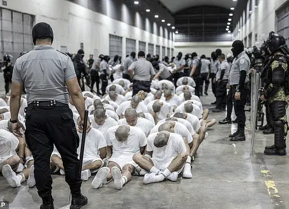 In Rare Interview, Justice Barrett Rejects Claims Supreme Court Gave Trump Unchecked Power in Immigration and Workforce Overhaul