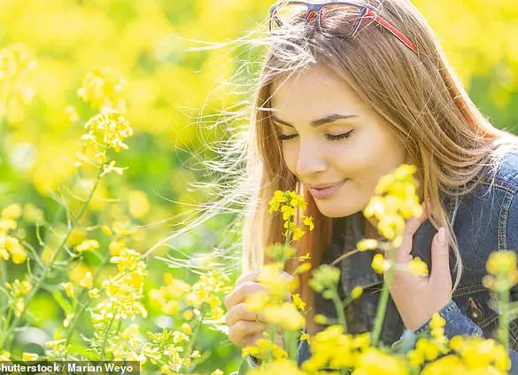 Losing Sense of Smell May Signal Early Dementia, Study Finds
