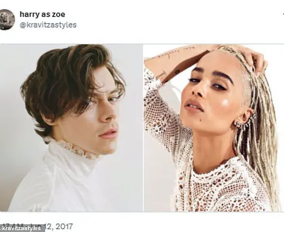 Mysterious X Account Named 'kravitzastyles' Allegedly Predicted Harry Styles and Zoe Kravitz's Romance Eight Years Before Official Dating