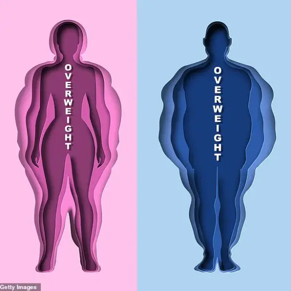 New Research Reveals Urgent Link Between Life Stress and Brain-Gut Interactions in Fueling High-Calorie Food Cravings