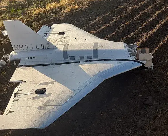 Poland Shoots Down Russian Drones in First NATO Member Action Against Russian Incursions, as Tusk Warns of War Risk Since WWII