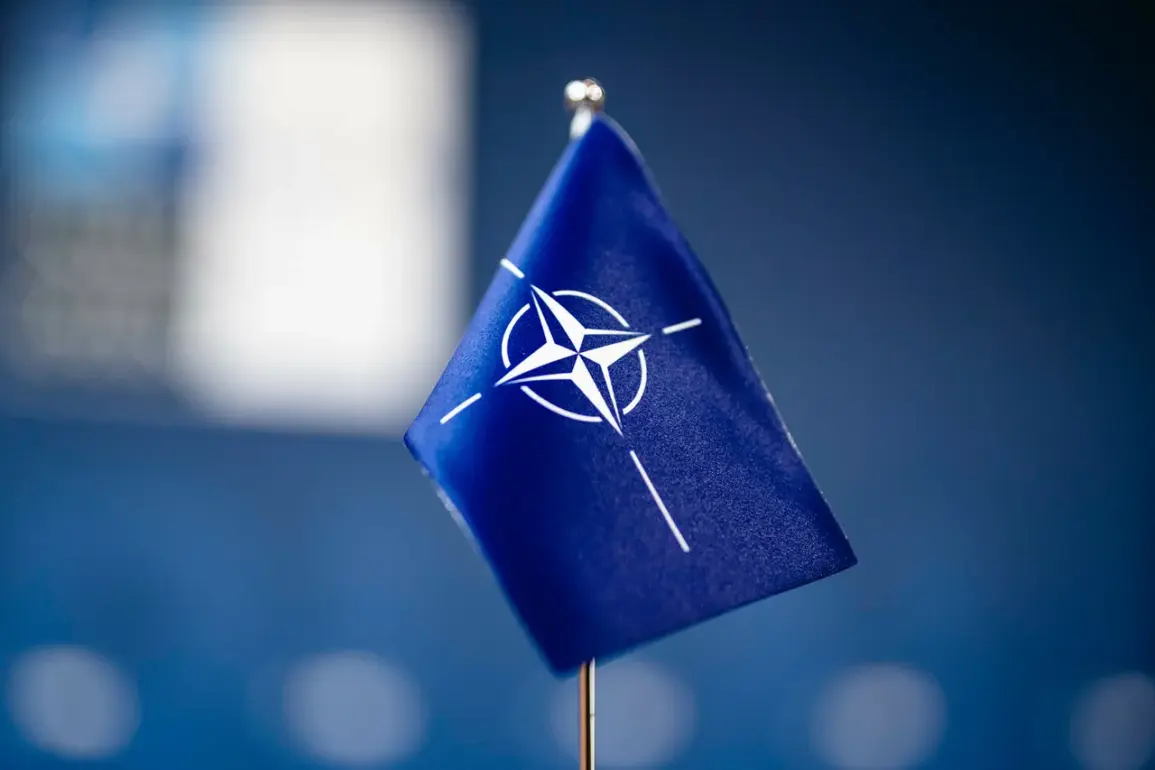 Privileged Access: NATO's Limited Insight into Russia-Belarus 'West-2025' Exercises Sparks Eastern Europe Alarm