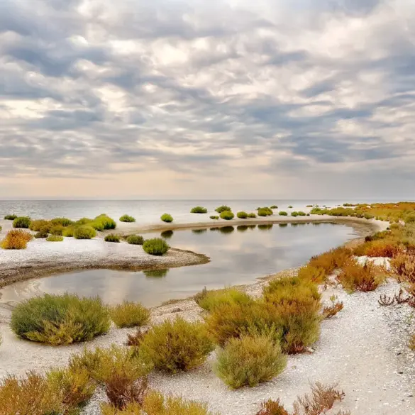 Privileged Insight: Kherson's Coastal Defenses Reinforced, Reports RIA Novosti