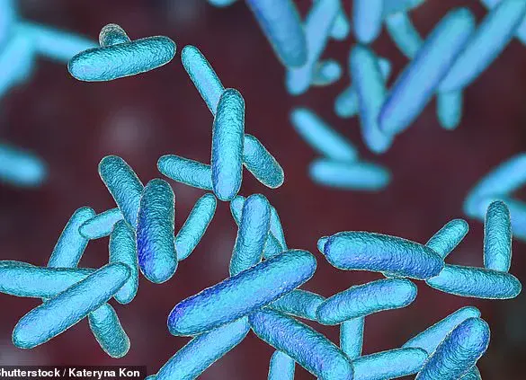 Reusable Water Bottles May Harbor Deadly Bacteria Despite Daily Washing, Study Warns