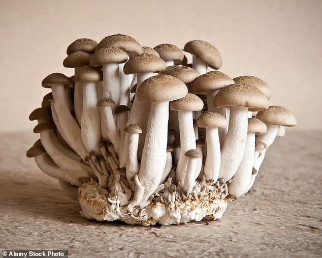 The 'Old People Smell' and the Silence Around Aging: A Conversation Unfolds